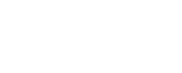 Netzky Olswang Law Logo Web Light